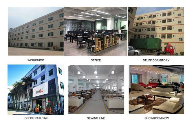 PG Century factory PG Century factory